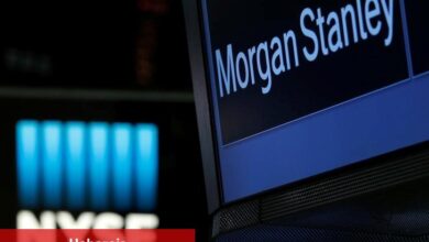 Morgan Stanley, Hisse Senetlerinin Yükselen Kazanç Aşım Oranına Tepki Vermemesinin Nedenlerini Açıkladı