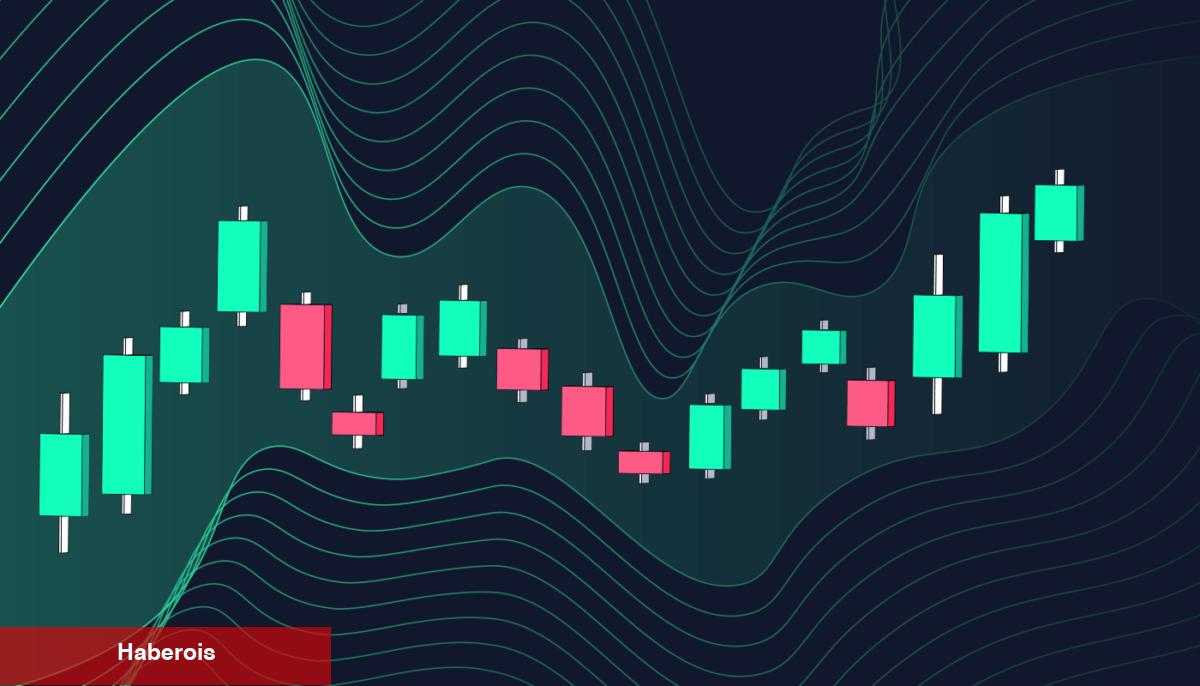 Piyasa Çöküşünde Türkler En Çok O 10 Altcoin’i Araştırıyor! - Haberois Piyasa Çöküşünde Türkler En Çok O 10 Altcoin’i Araştırıyor!