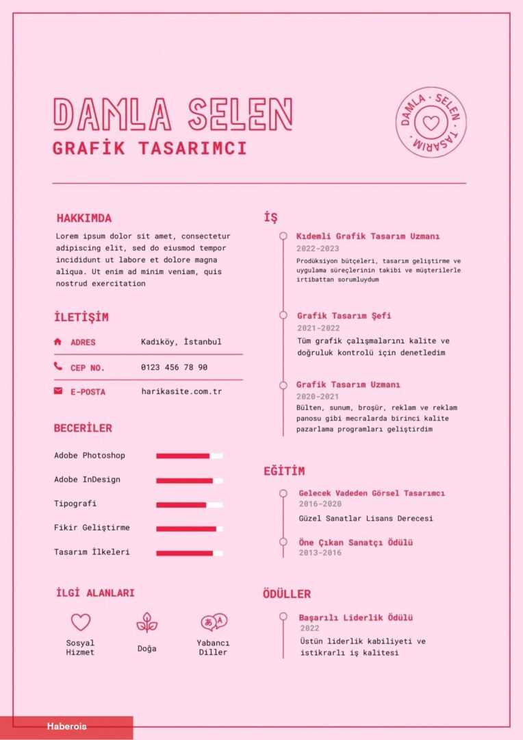 Profesyonel CV nasıl hazırlanır? Tesirli CV örnekleri