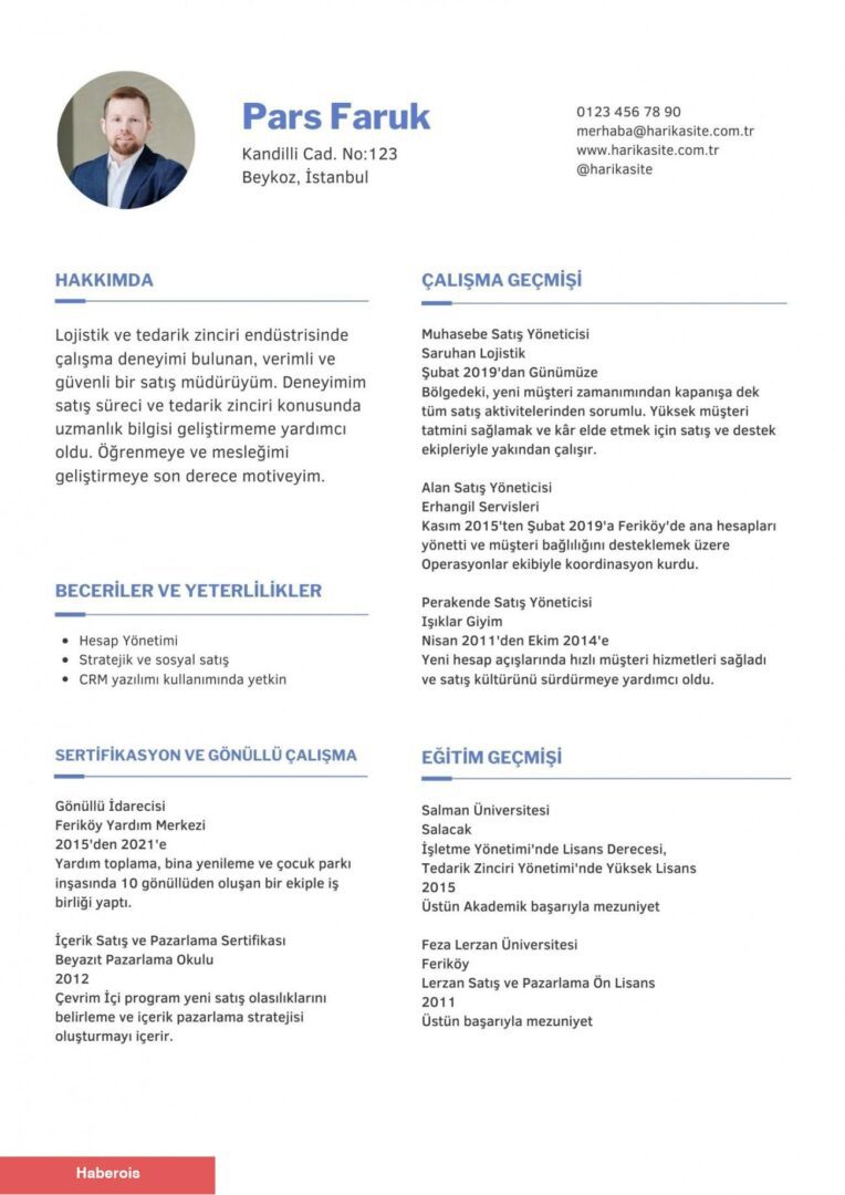 Profesyonel CV nasıl hazırlanır? Tesirli CV örnekleri