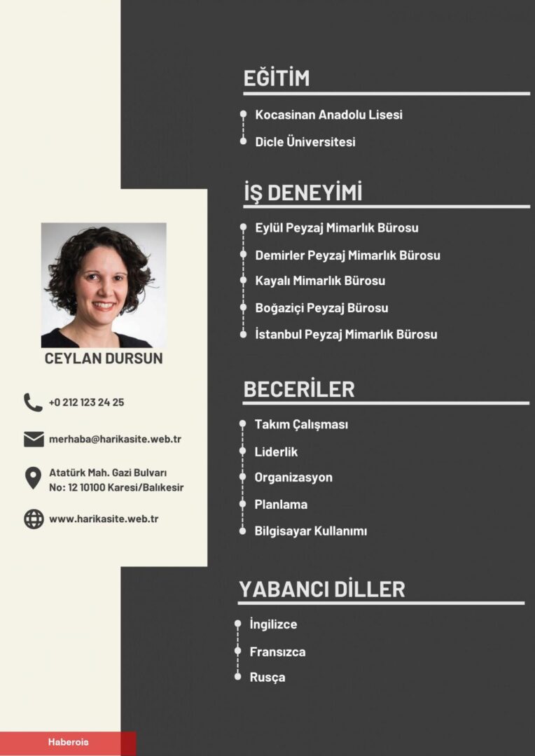 Profesyonel CV nasıl hazırlanır? Tesirli CV örnekleri