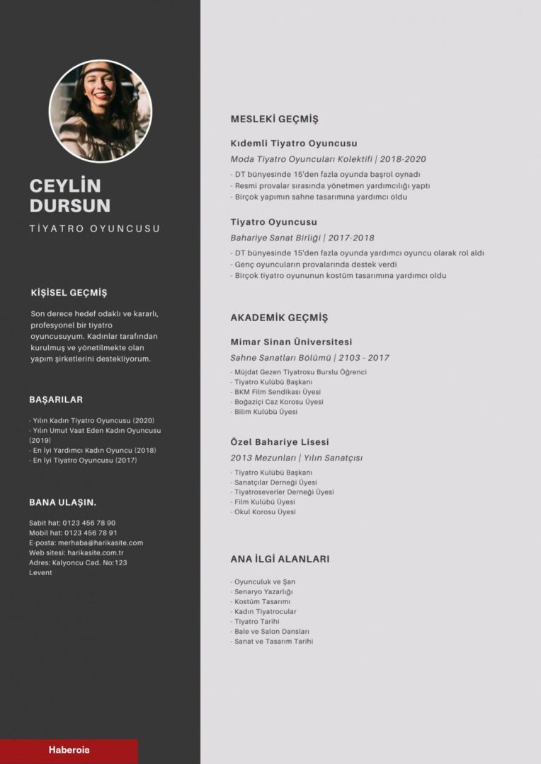Profesyonel CV nasıl hazırlanır? Tesirli CV örnekleri