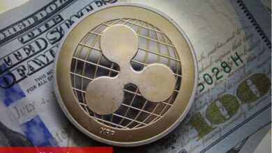 Ripple, SEC’in para cezası talebine nasıl cevap verdi? Piyasa tepkisi nasıl oldu?