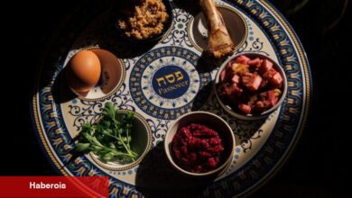 Seder Aile, Yiyecek ve Özgürlükle İlgilidir. Ve Şimdi Konu Aynı Zamanda Savaşla İlgili.