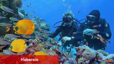 Setur, tatil severlerin Ramazan Bayramı tercihlerini açıkladı
