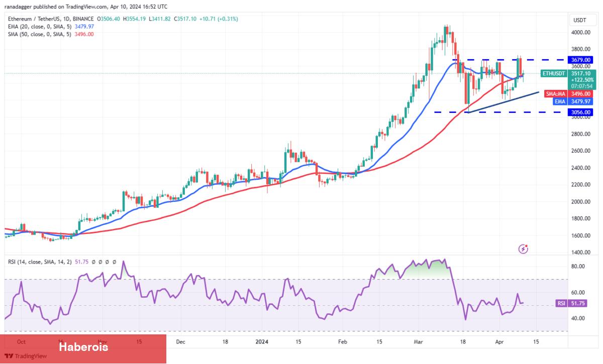 SHIB, XRP, BNB, AVAX Coin ve Bu 6 Coin İçin Al-Sat Seviyeleri!