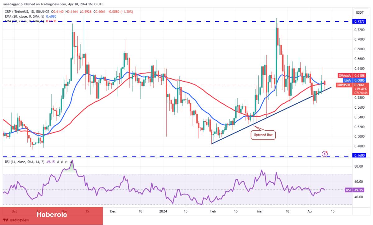 SHIB, XRP, BNB, AVAX Coin ve Bu 6 Coin İçin Al-Sat Seviyeleri!