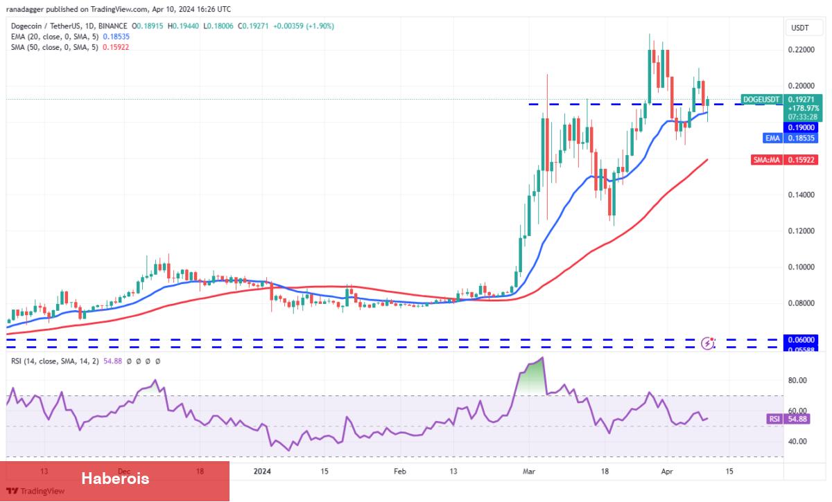 SHIB, XRP, BNB, AVAX Coin ve Bu 6 Coin İçin Al-Sat Seviyeleri!