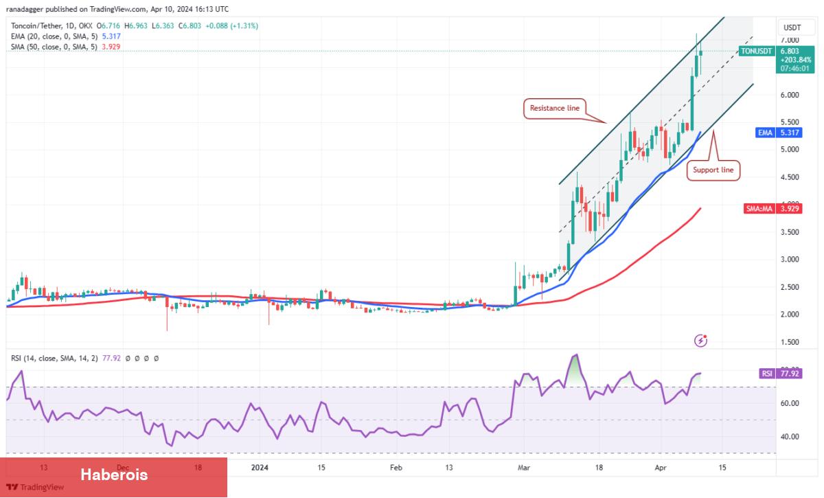 SHIB, XRP, BNB, AVAX Coin ve Bu 6 Coin İçin Al-Sat Seviyeleri!