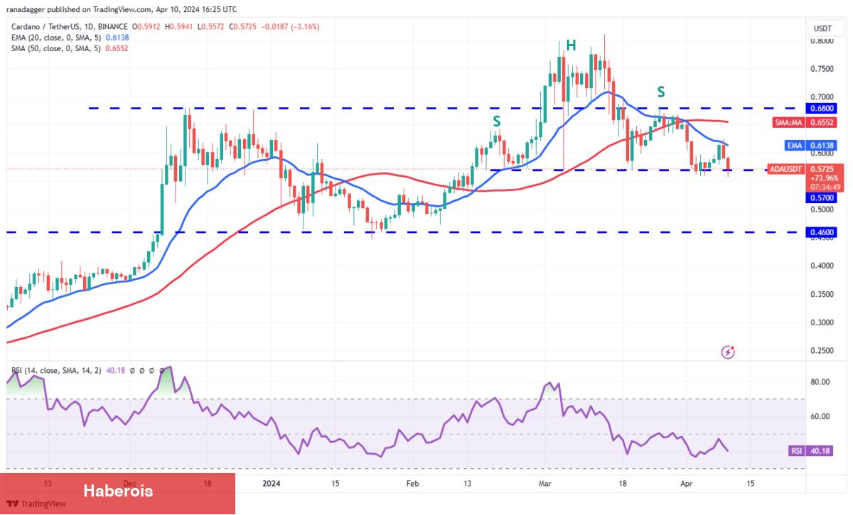 SHIB, XRP, BNB, AVAX Coin ve Bu 6 Coin İçin Al-Sat Seviyeleri!