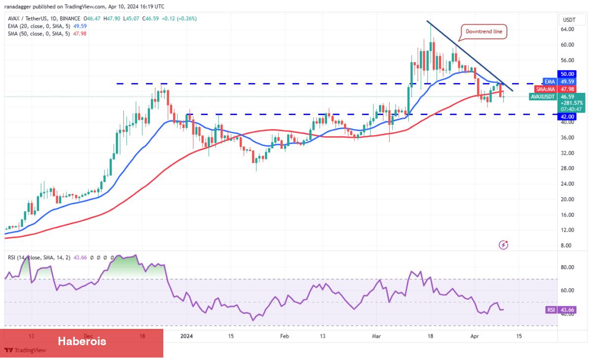 SHIB, XRP, BNB, AVAX Coin ve Bu 6 Coin İçin Al-Sat Seviyeleri!