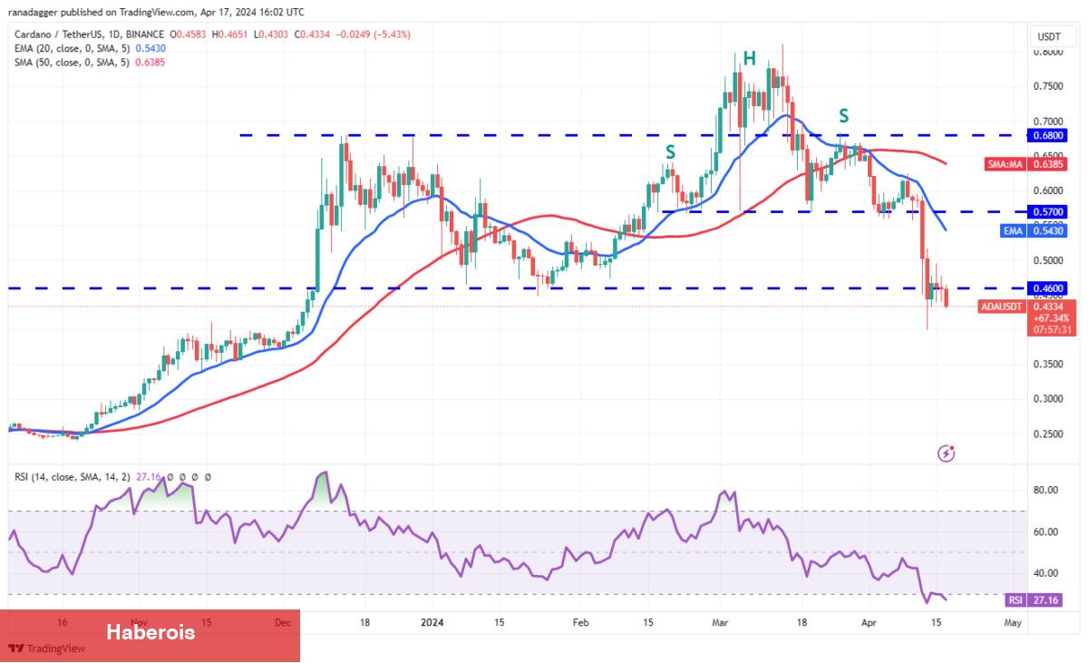 SHIB, XRP, BTC, AVAX Coin ve Bu 6 Altcoin İçin Al-Sat Seviyeleri! - Haberois SHIB, XRP, BTC, AVAX Coin ve Bu 6 Altcoin İçin Al-Sat Seviyeleri!