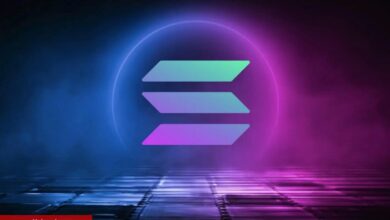 Solana Balinaları Sepetlerini Bu Göğüs Coinlerle Doldurdu!