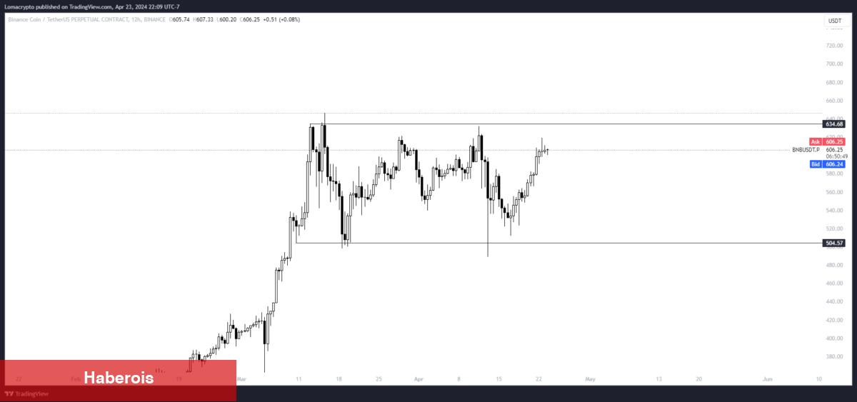 Tanınan Analist 2 Altcoin İsmi Verdi: Piyasanın Yağız Atları!