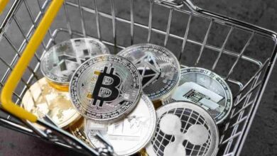Tanınan Analist: ADA Coin Değil Bu 4 Altcoin Sepette Olmalı!