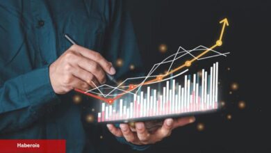 Tanınan Analist Bu 2 Altcoin İçin Yükselişte: Fırsatlar Sunuyorlar!