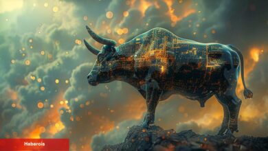 Tanınan Analist: Bu 3 Altcoin Güçlü Boğa Sinyali Veriyor!