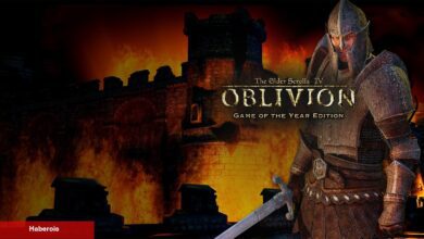 The Elder Scrolls IV: Oblivion DLC Boyutunda Moda Kavuştu