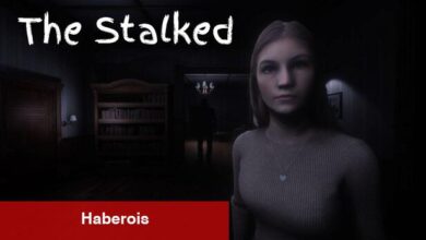 The Stalked İnceleme: Takıntılı Aşk Öyküsü