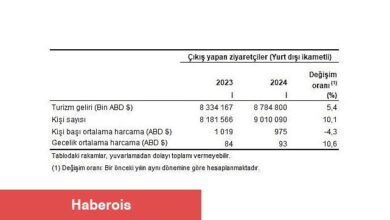 Tüik: Turizm geliri ve gideri için revizyon tamamlandı