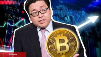 Ünlü Analist: Bitcoin Yıl Sonundan Evvel Bu Tepeyi Görecek!
