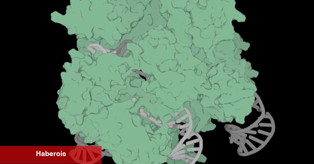 Üretken Yapay Zeka, CRISPR'ın Gen Düzenleme Dünyasına Geliyor