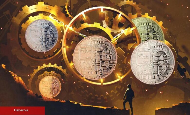 Uzman Görüşü: Bu 5 Düşük Fiyatlı Altcoin 100X Potansiyele Sahip! - Haberois Uzman Görüşü: Bu 5 Düşük Fiyatlı Altcoin 100X Potansiyele Sahip!