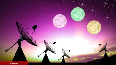 Uzman Görüşü: Düşük Pahalı ve 100X Potansiyelli 3 Altcoin!