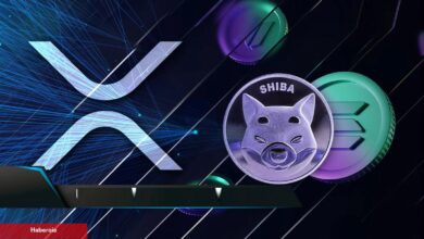 Yapay Zeka’dan XRP, SOL ve SHIB Coin İçin Mayıs Tahminleri!