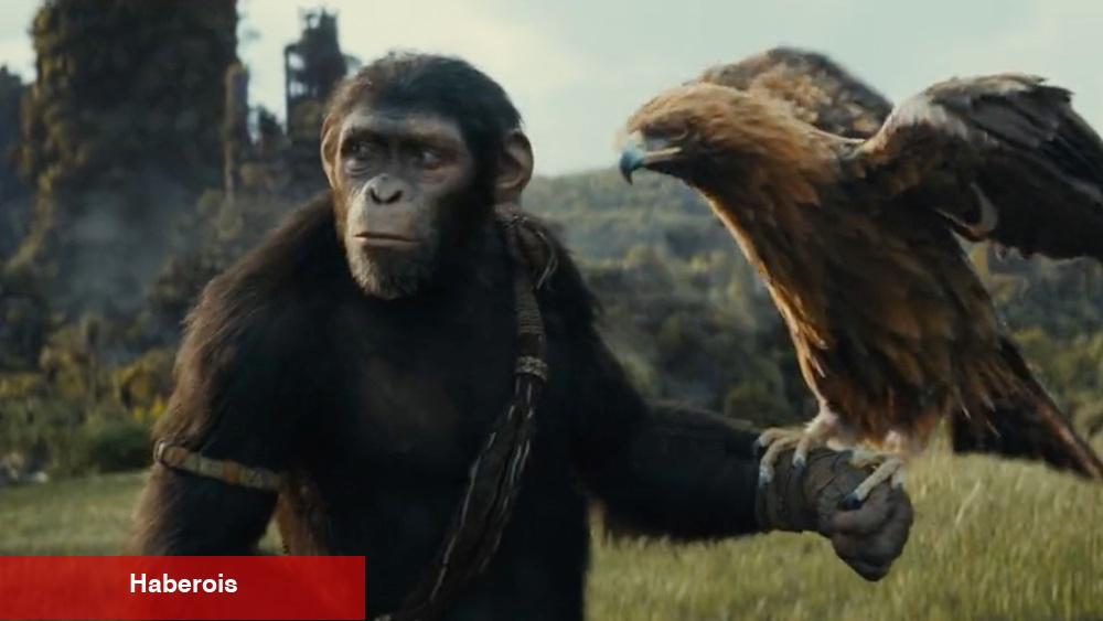 Zoom - Kingdom of the Planet of the Apes