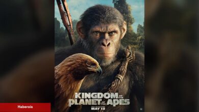 Zoom - Kingdom of the Planet of the Apes