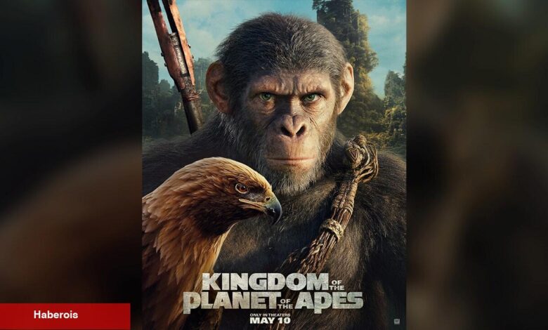 Zoom - Kingdom of the Planet of the Apes - Haberois Zoom - Kingdom of the Planet of the Apes