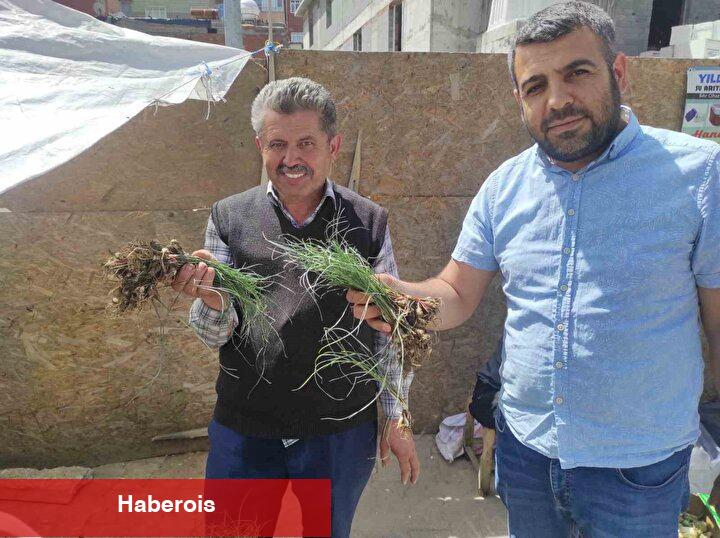 Zuzubak otu ne işe fayda ve nasıl kullanılır? Zuzubak otu yararları nelerdir?