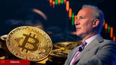 Altın Böceği Bitcoin Düşüşünü Yorumladı: Cathie Kapıyı Kapatır!
