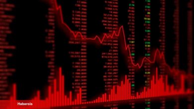Analistler: Altcoinler için Boğadan Evvel Bu Tarihte Bir Çöküş Var!