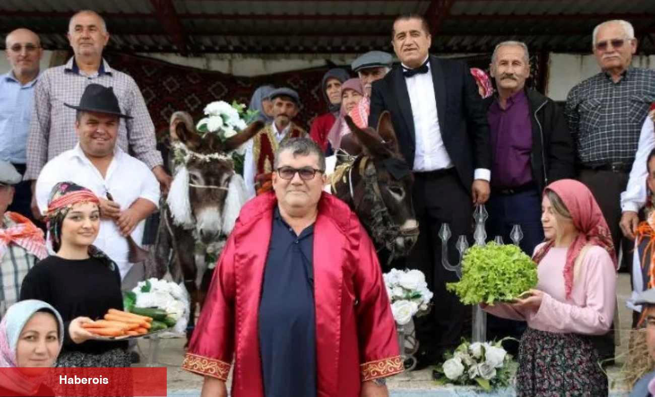 Antalya'da akıllara sakinlik veren düğün! İki eşeği evlendirip balayına gönderdiler