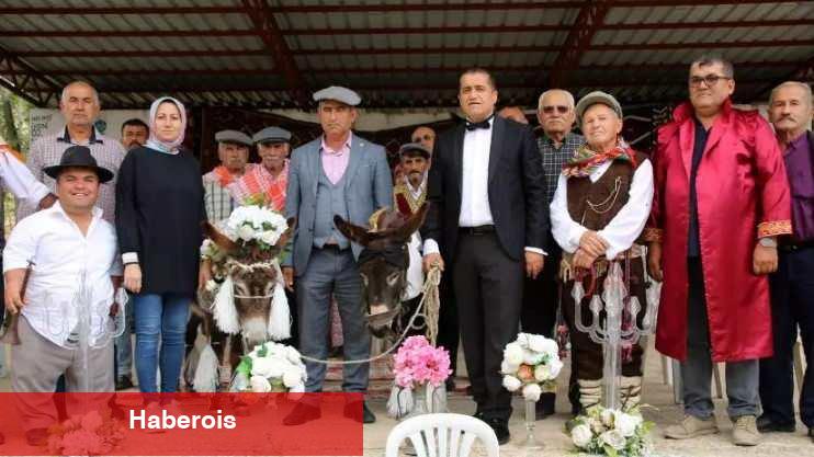 Antalya'da akıllara sakinlik veren düğün! İki eşeği evlendirip balayına gönderdiler