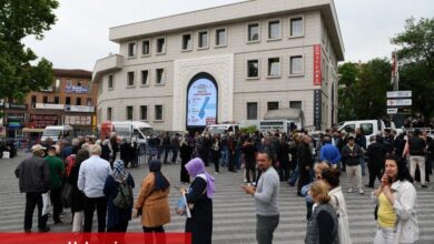 Ata tohumlarından üretilen fidelere büyük ilgi