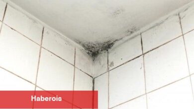 Banyoların kaygılı hayaline son: Küflerle vedalaşın!