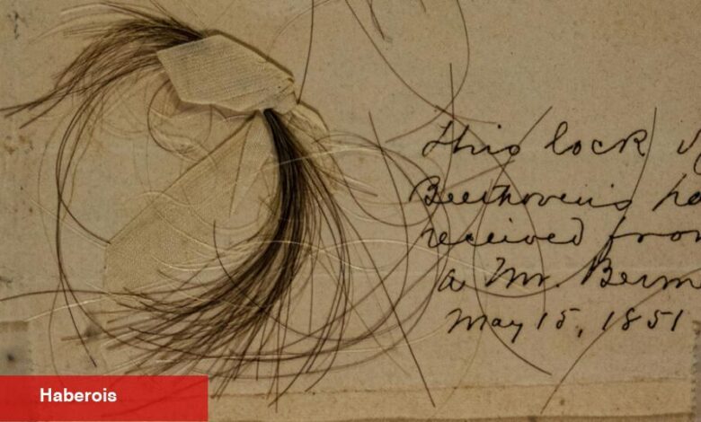 Beethoven'ın Saç Bukleleri Sağırlığının Gizemine Yeni İpuçları Sunuyor - Haberois Beethoven'ın Saç Bukleleri Sağırlığının Gizemine Yeni İpuçları Sunuyor