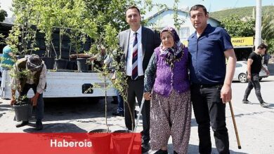 Bir yılda 10 bin meyve fidanı dağıtılacak