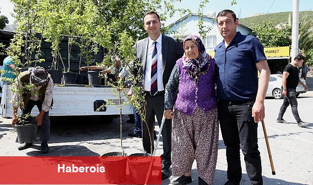 Bir yılda 10 bin meyve fidanı dağıtılacak - Haberois Bir yılda 10 bin meyve fidanı dağıtılacak