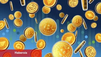 Bitcoin, Ethereum Düşerken O 4 Altcoin Yükseldi!