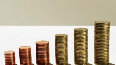 Bugün, O 39 Altcoin İçin Kritik: İşte Olacakların Bir Listesi!