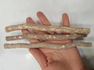 Dişleri sıhhatle buluşturan mucize: Misvak