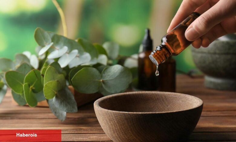 Doğal epilasyon bulunmuş! Karınca yumurtası yağı ne işe yarıyor? - Haberois Doğal epilasyon bulunmuş! Karınca yumurtası yağı ne işe yarıyor?