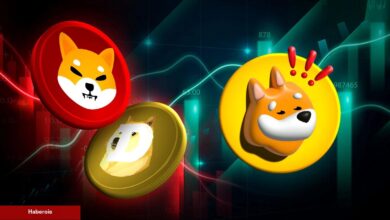 DOGE, SHIB ve BONK Coin Kestirimleri: Birisi Sıçrayacak!