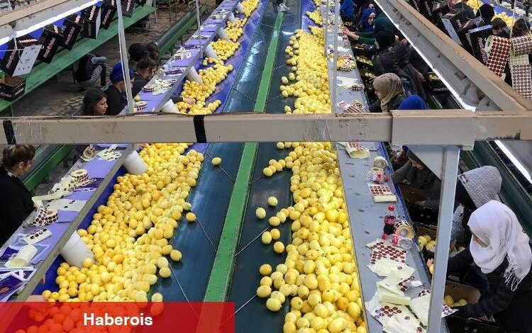 Dünya sofraları Türkiye'den hem lezzet, hem şifa alıyor - Haberois Dünya sofraları Türkiye'den hem lezzet, hem şifa alıyor