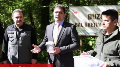 Düzce Valiliğinden gal arısı ile mücadele