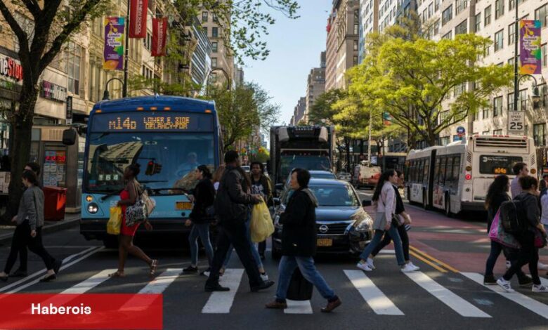 Hedef Sıfır New Yorkluları Nasıl Daha Güvenli Hale Getirdi ve Para Tasarrufu Sağladı? - Haberois Hedef Sıfır New Yorkluları Nasıl Daha Güvenli Hale Getirdi ve Para Tasarrufu Sağladı?